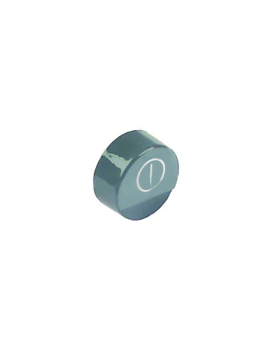 Tecla ø 23mm gris interruptor principal Elframo, Komel